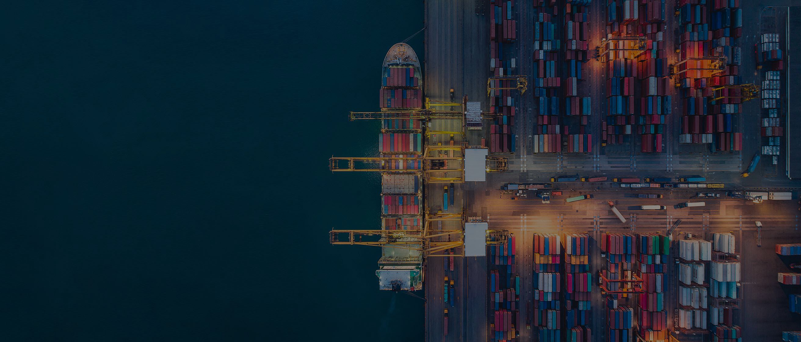 "数字化引领，共赢未来"